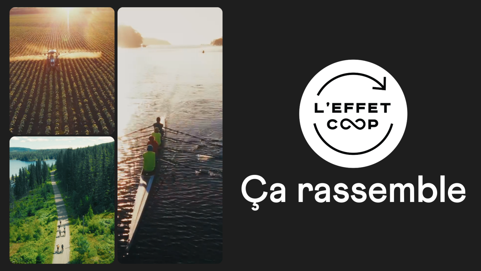Campagne Effet COOP